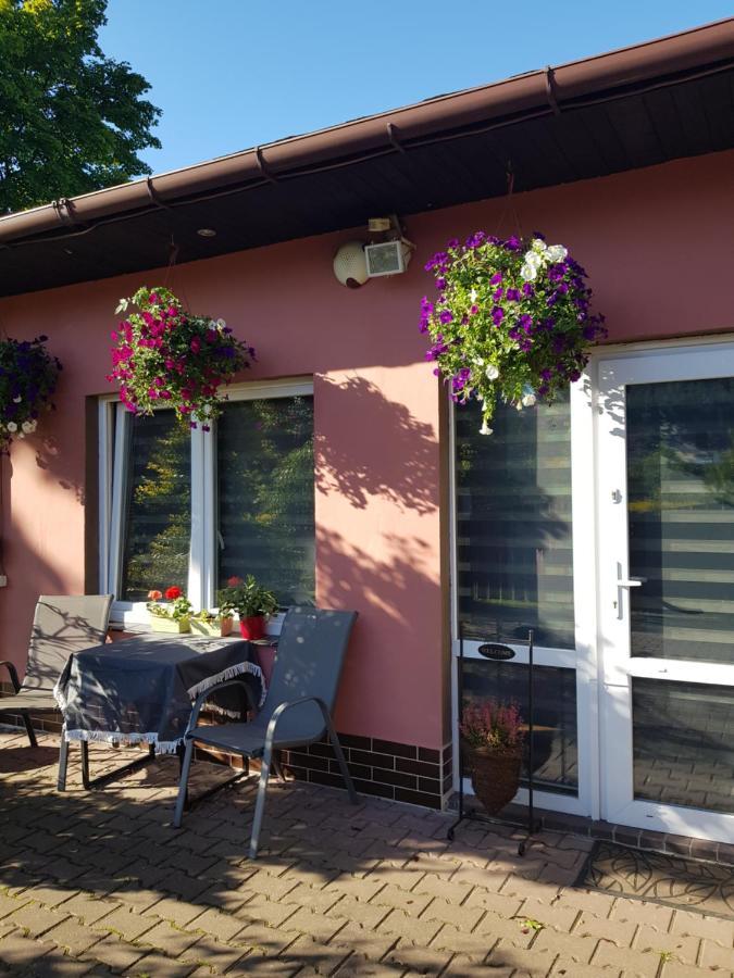 Apartament Lavender Jelenia Góra Exterior foto